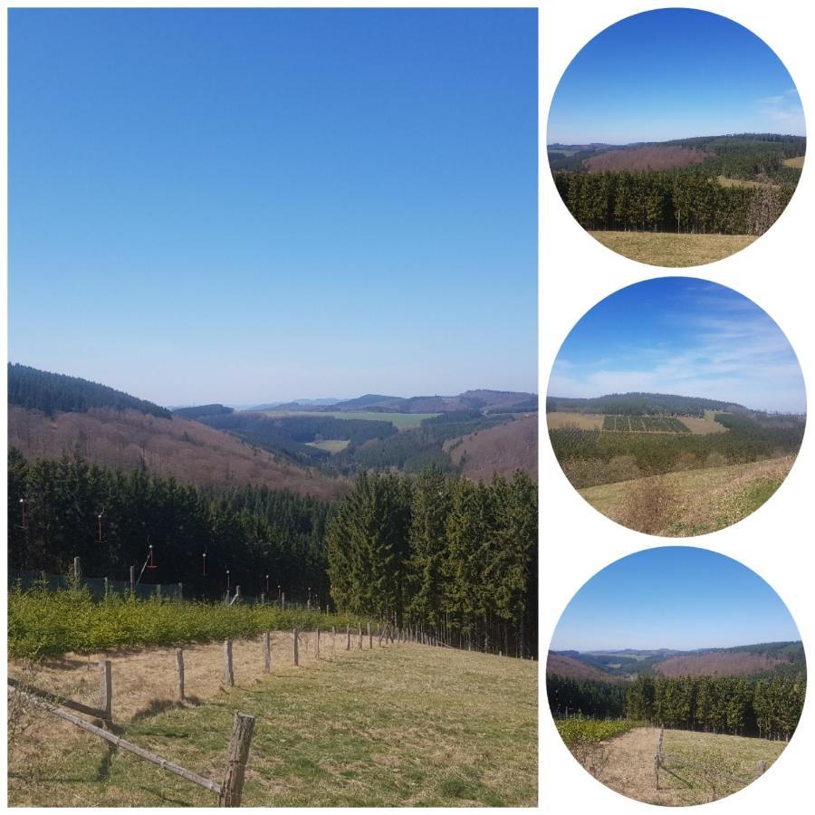 Ferienwohnung Parkblick Medebach Εξωτερικό φωτογραφία