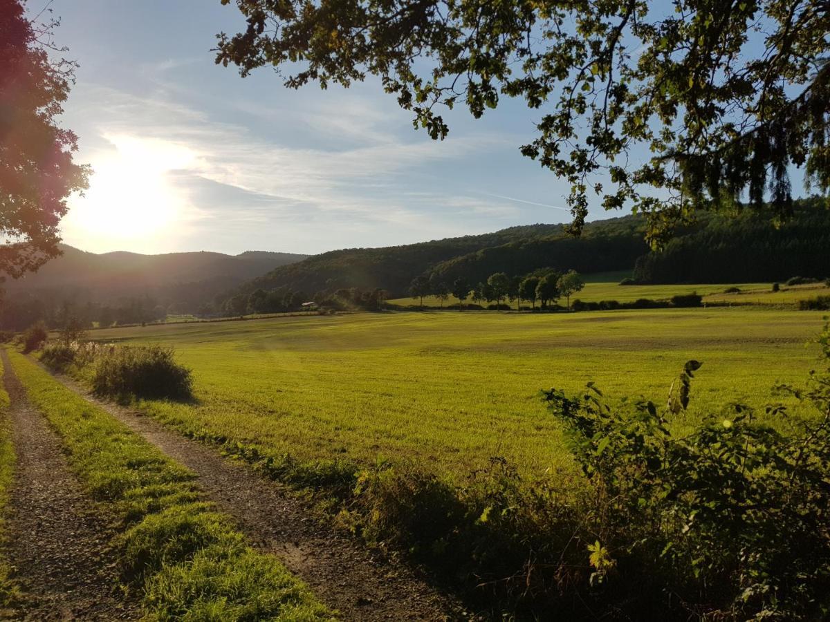 Ferienwohnung Parkblick Medebach Εξωτερικό φωτογραφία