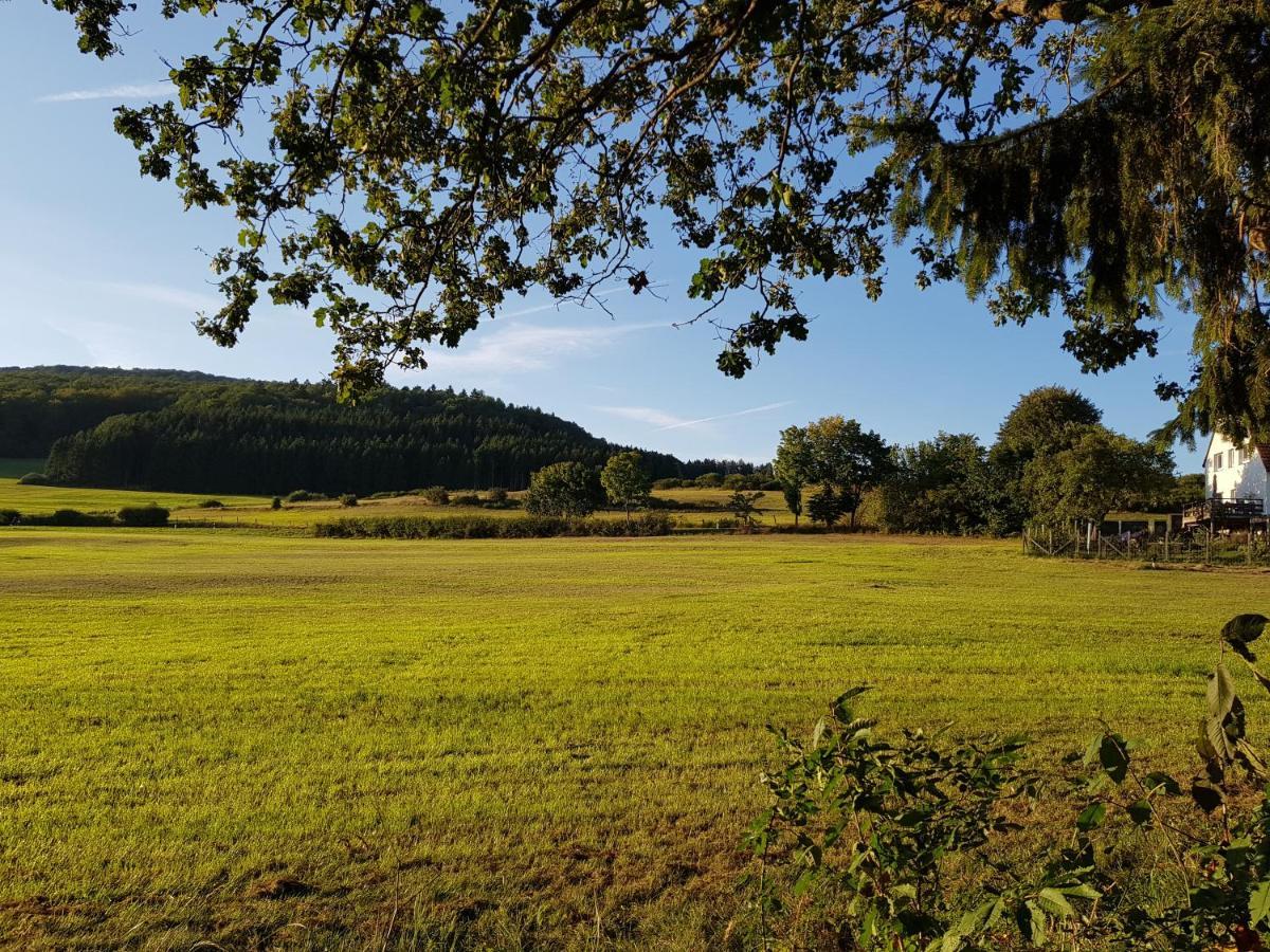 Ferienwohnung Parkblick Medebach Εξωτερικό φωτογραφία